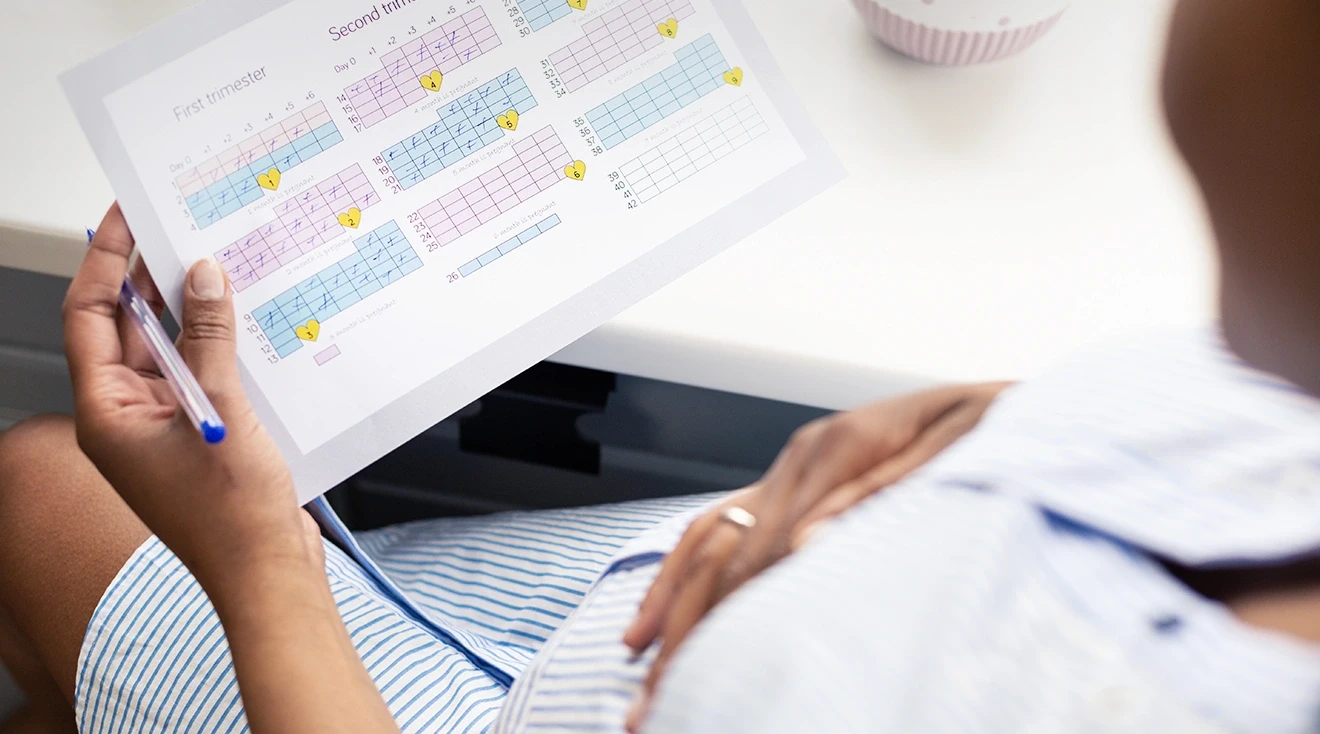 pregnant woman looking at pregnancy trimester calendar