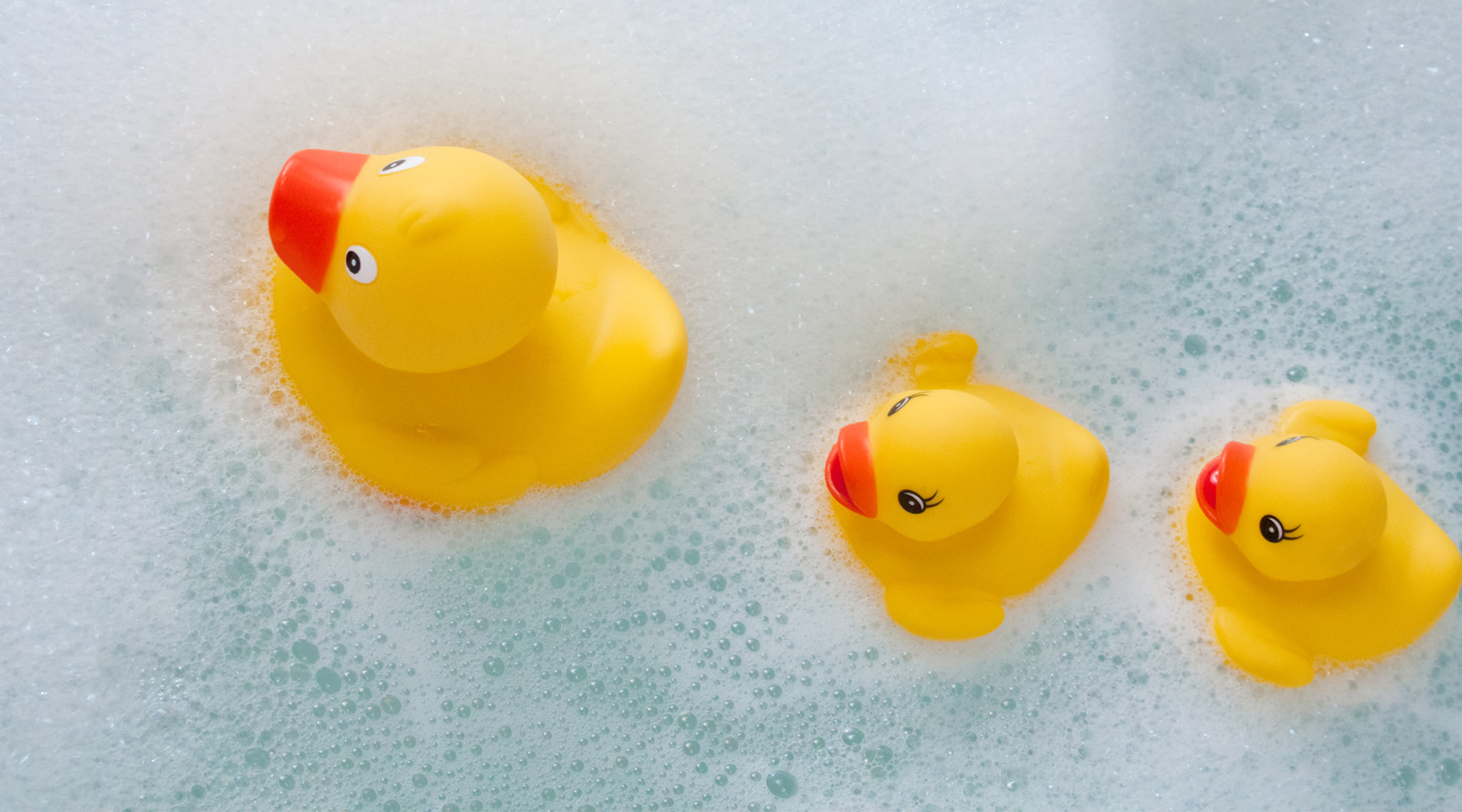 rubber ducks in sudsy bath