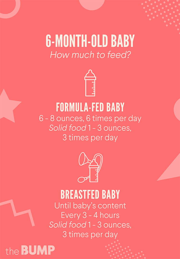 Baby Feeding Essentials: 6 Months