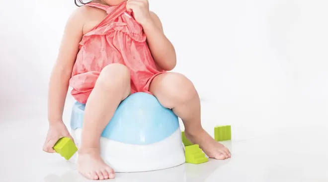 The 7 Best Travel Potty Seats and Chairs of 2024