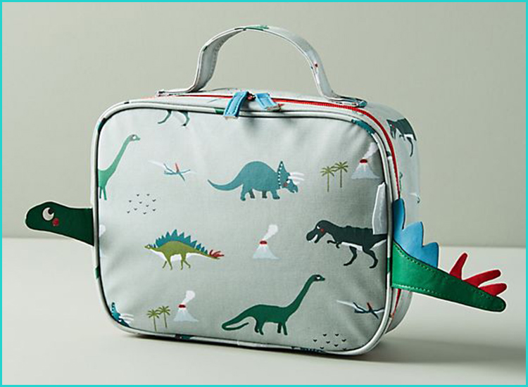 dinosaur lunch box set