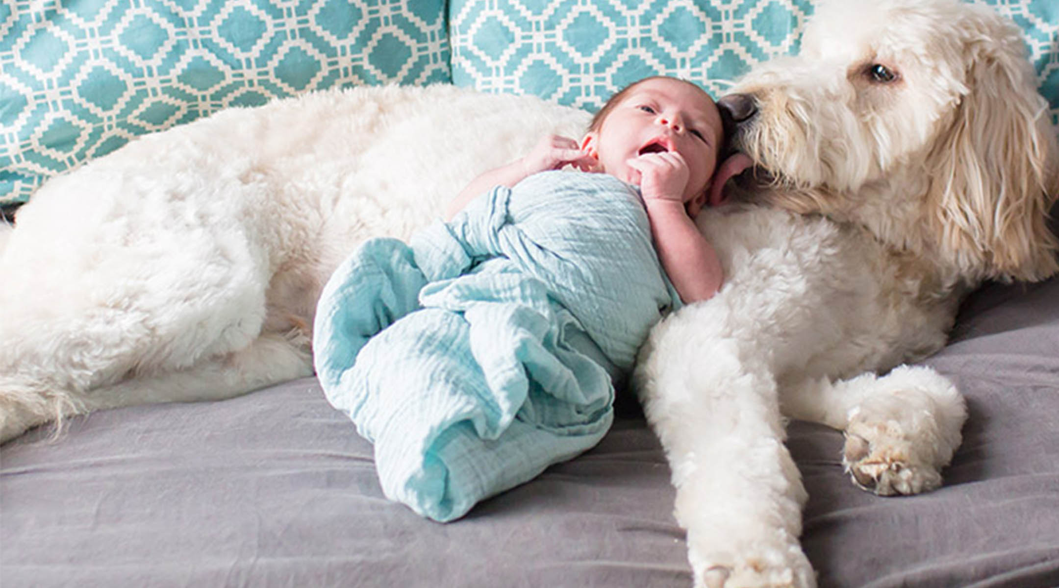 newborn baby snuggling with pet dog on the bed at home