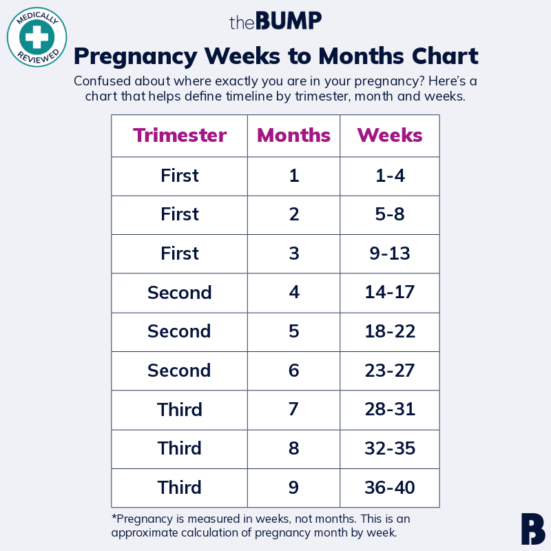 Pregnancy Weeks to Months: Chart and Explanation
