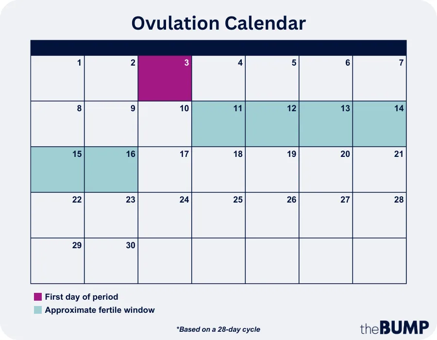 Pregnancy Tips: How To Find Out The Most Fertile Days? How To Calculate  Ovulation And Fertility Time? 