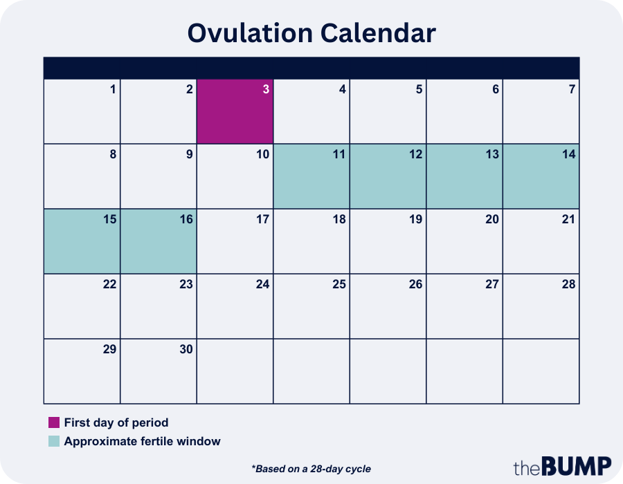 Ovulation Symptoms: 9 Signs of Ovulation
