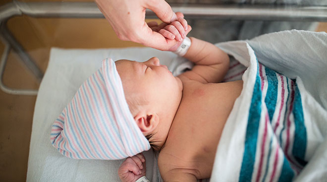 parent holds newborn's hand at hospital