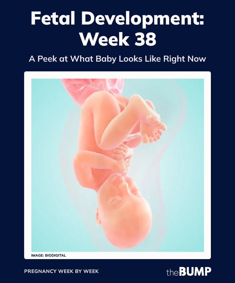 38 weeks pregnant baby development