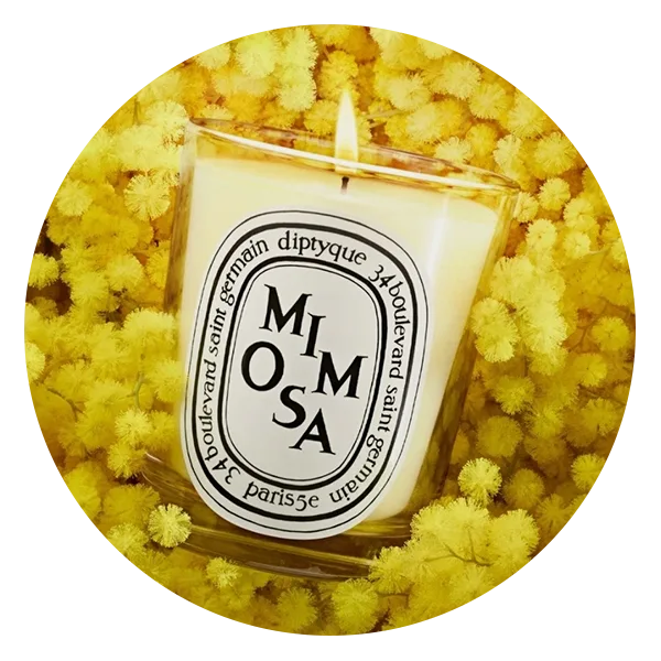 Diptyque Mimosa Classic Candle
