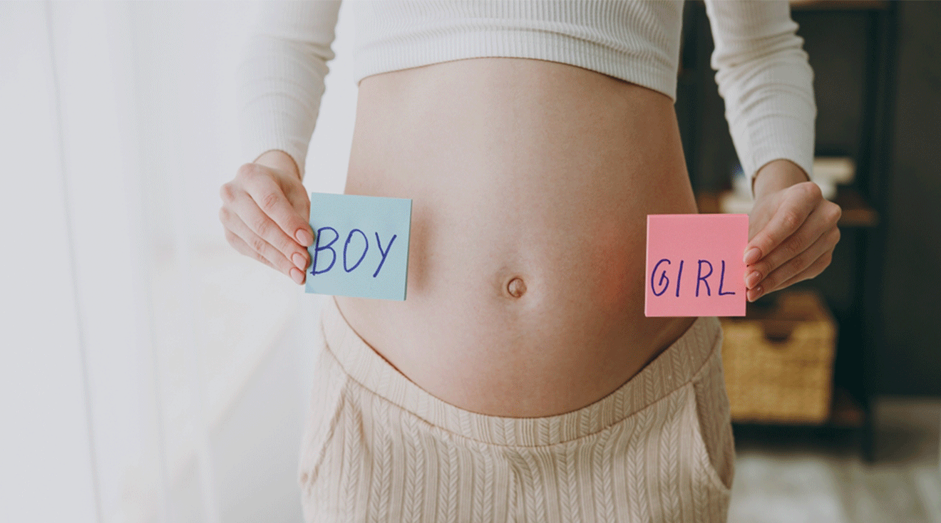 pregnancy gender prediction blood test