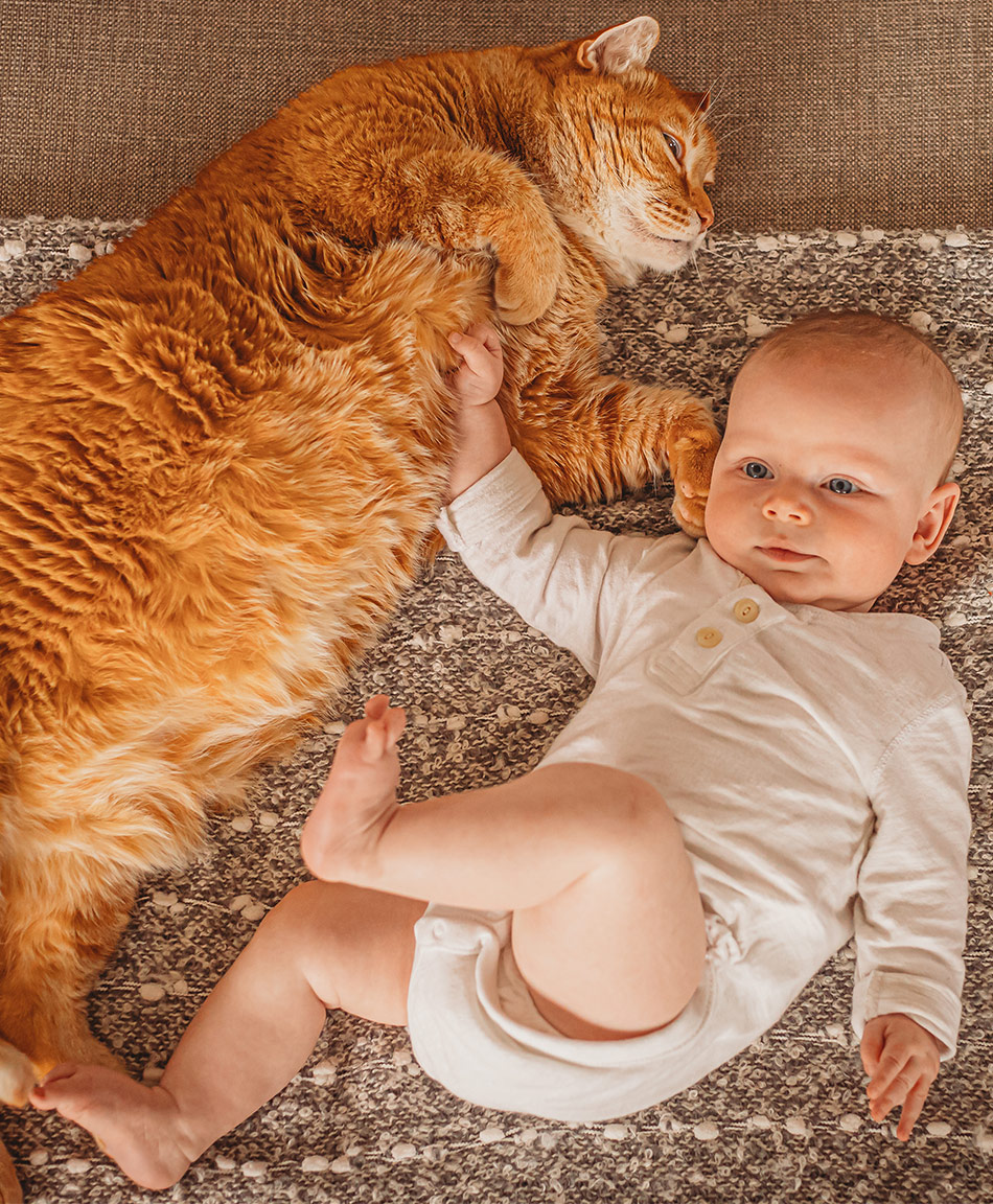 Cute Photos of Cats and Babies Sure to Steal Your Heart