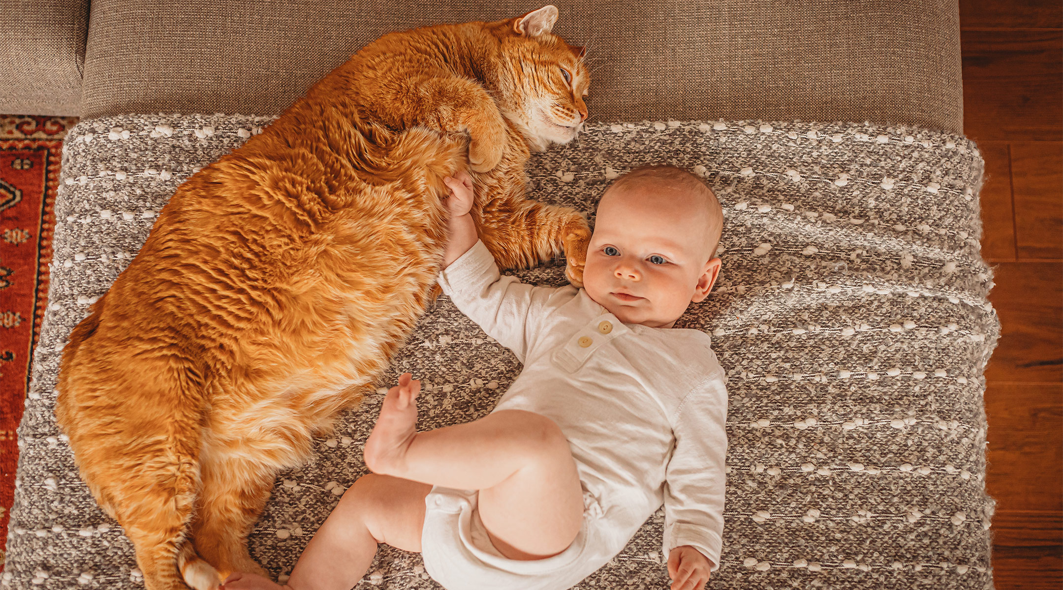 baby laying with big orange cat