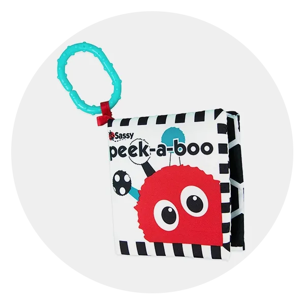 Sassy Peek-a-Boo Activity Book with Attachable Link for On-The-Go Travel