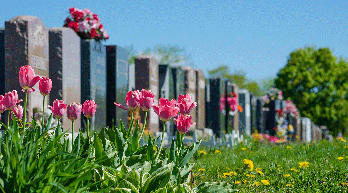 tombstones in cemetery surrounded by colorful flowers