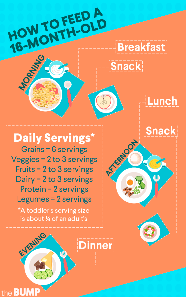 Diet Chart For 16 Month Old Baby