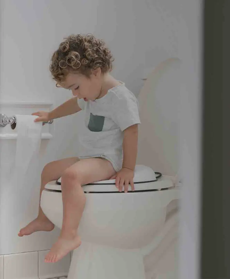 Potty Training Products and Must-Haves: Seats, Targets, and More