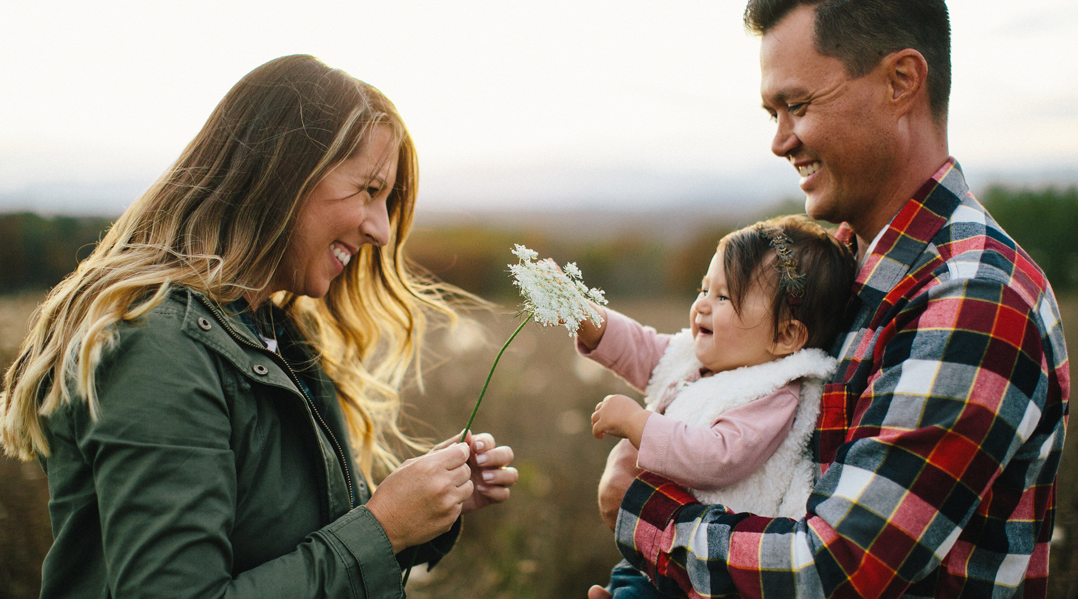 family holiday cards