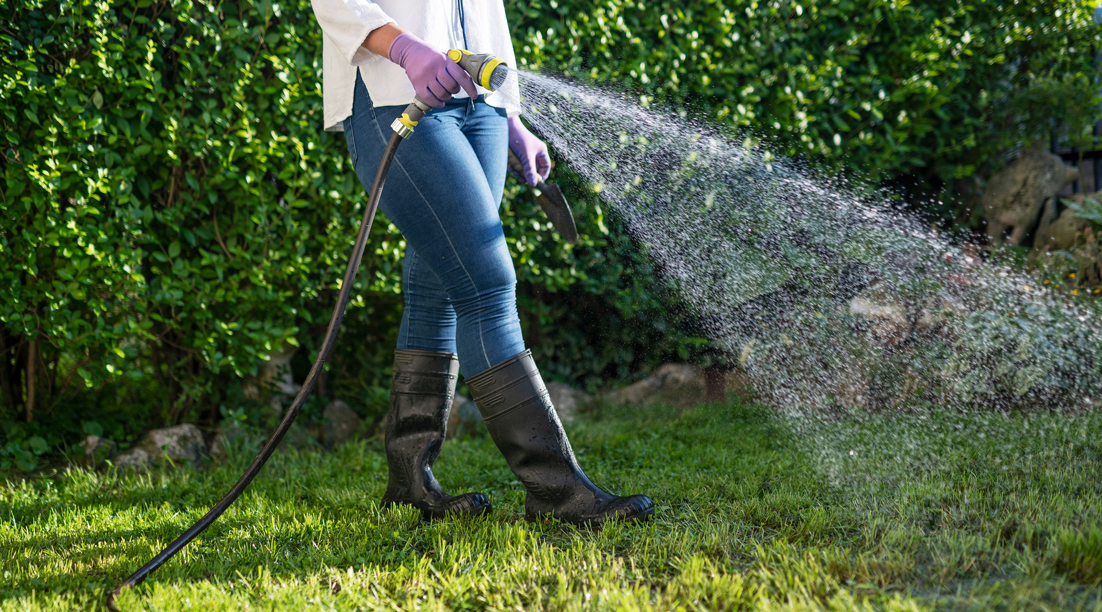 woman using garden hose to water lawn