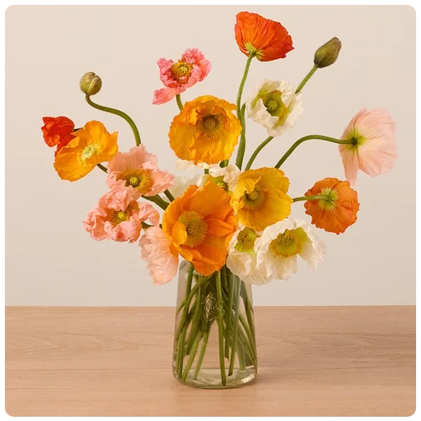 The Bouqs Co Icelandic Poppies Bouquet