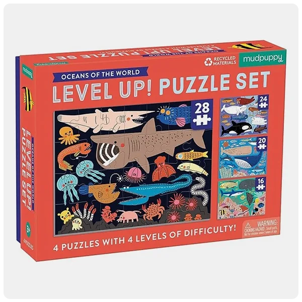Mudpuppy Level-Up Puzzle Set
