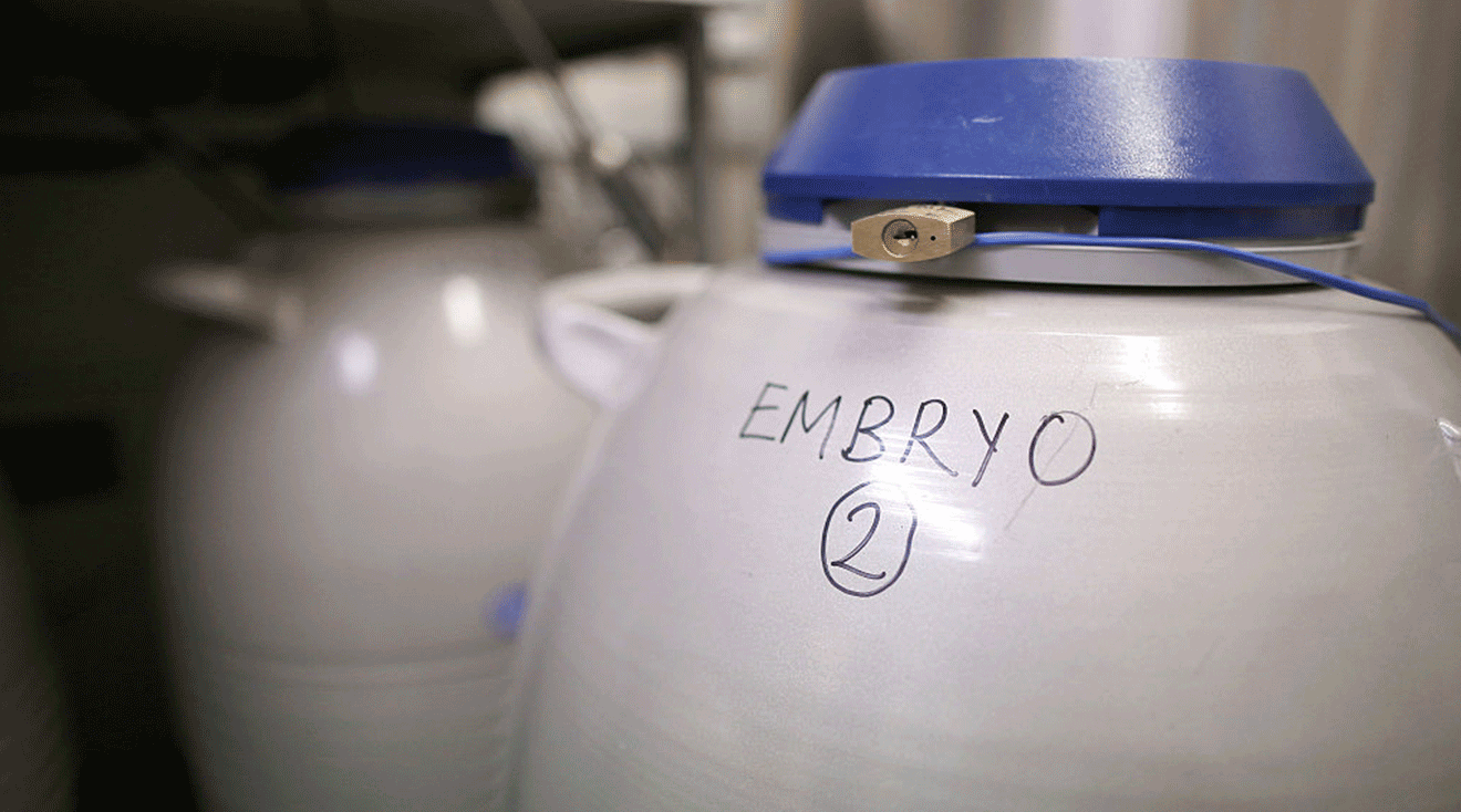 Embryos are frozen and stored in the cryo store at Birmingham Women's Hospital fertility clinic on January 22, 2015 in Birmingham, England.