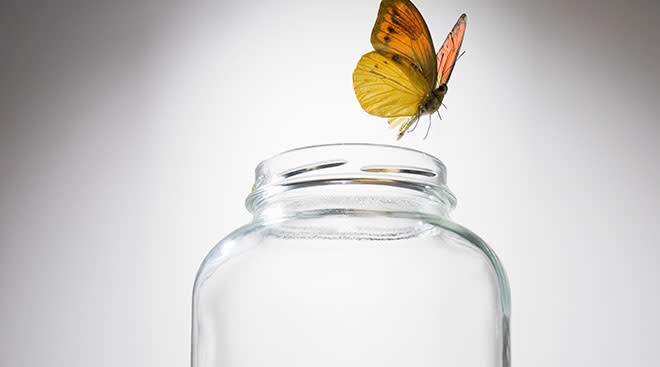 butterfly flying out of glass jar