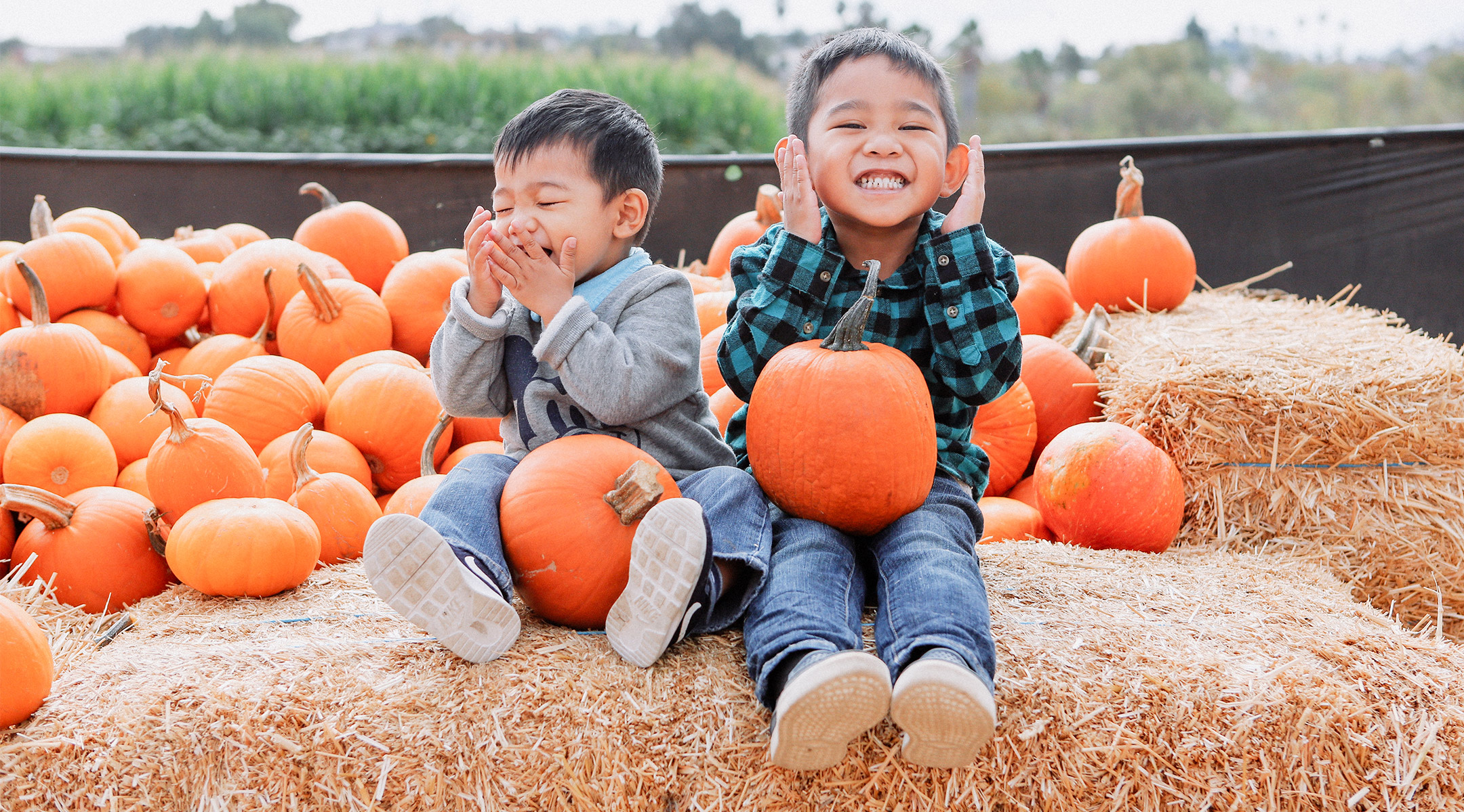 two little boys having fun at pumpkin patch around halloween time