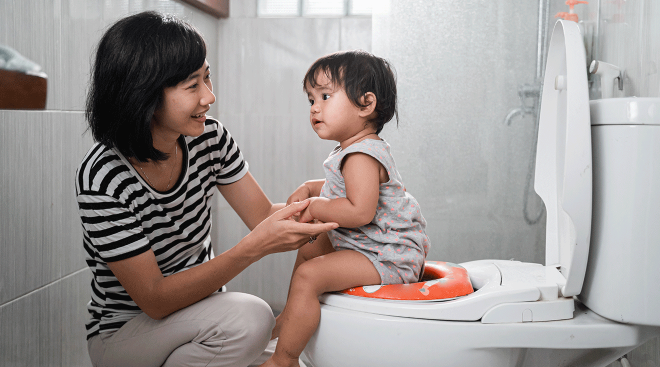 Toddler Toilet Potty Training Seat – Baby & Me Nursery
