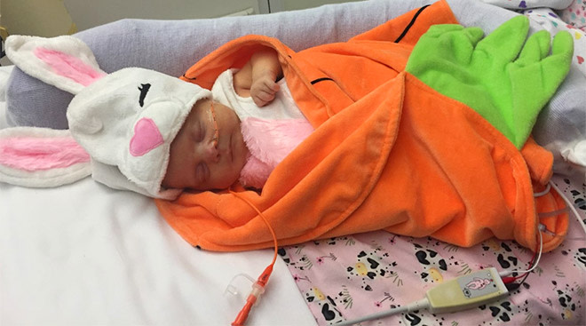 preemie babies in hospital are dressed up in cute costumes for halloween
