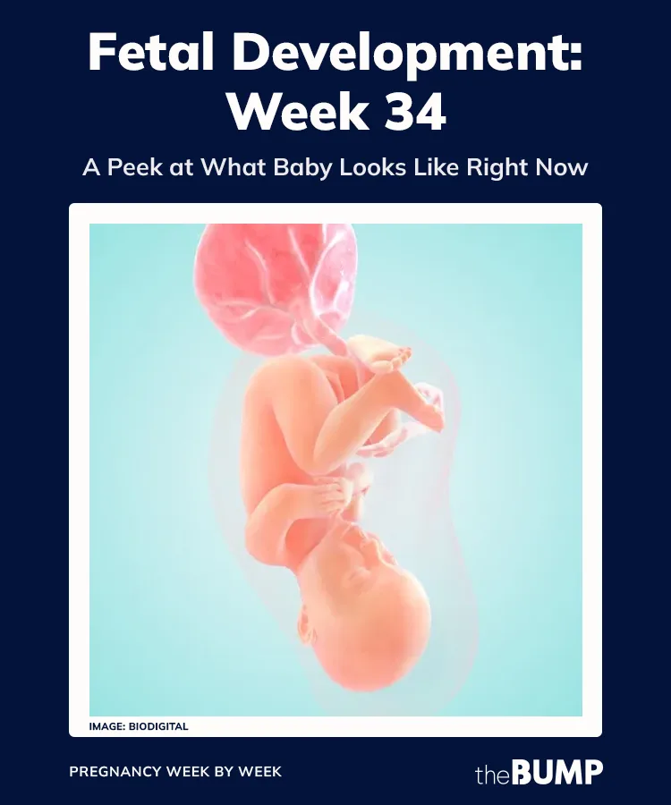 Week 34 34 Weeks Pregnant: Baby Development, Symptoms and Tips