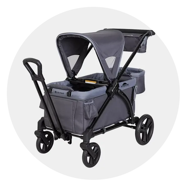 Stroller wagon with bassinet-style seat