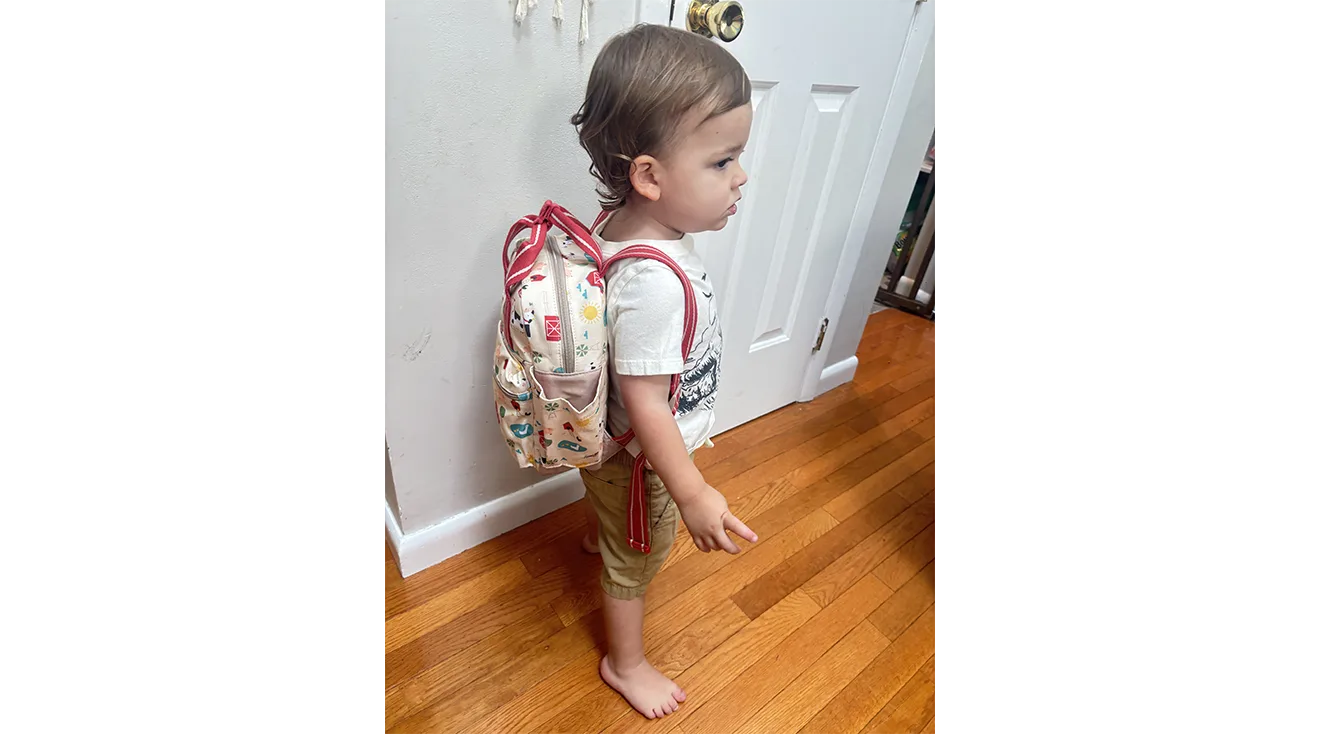 best toddler mini backpack 6 Best Toddler and Preschool Backpacks