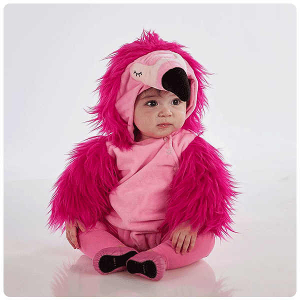 Pottery Barn Kids Baby Flamingo Halloween Costume