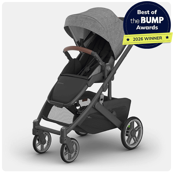 UPPAbaby Cruz V3