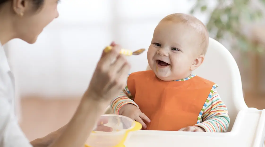 Best Baby Food Makers and blender of 2021 – GROWNSY
