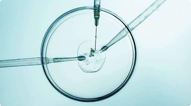 IVF embryo procedure with precision tools