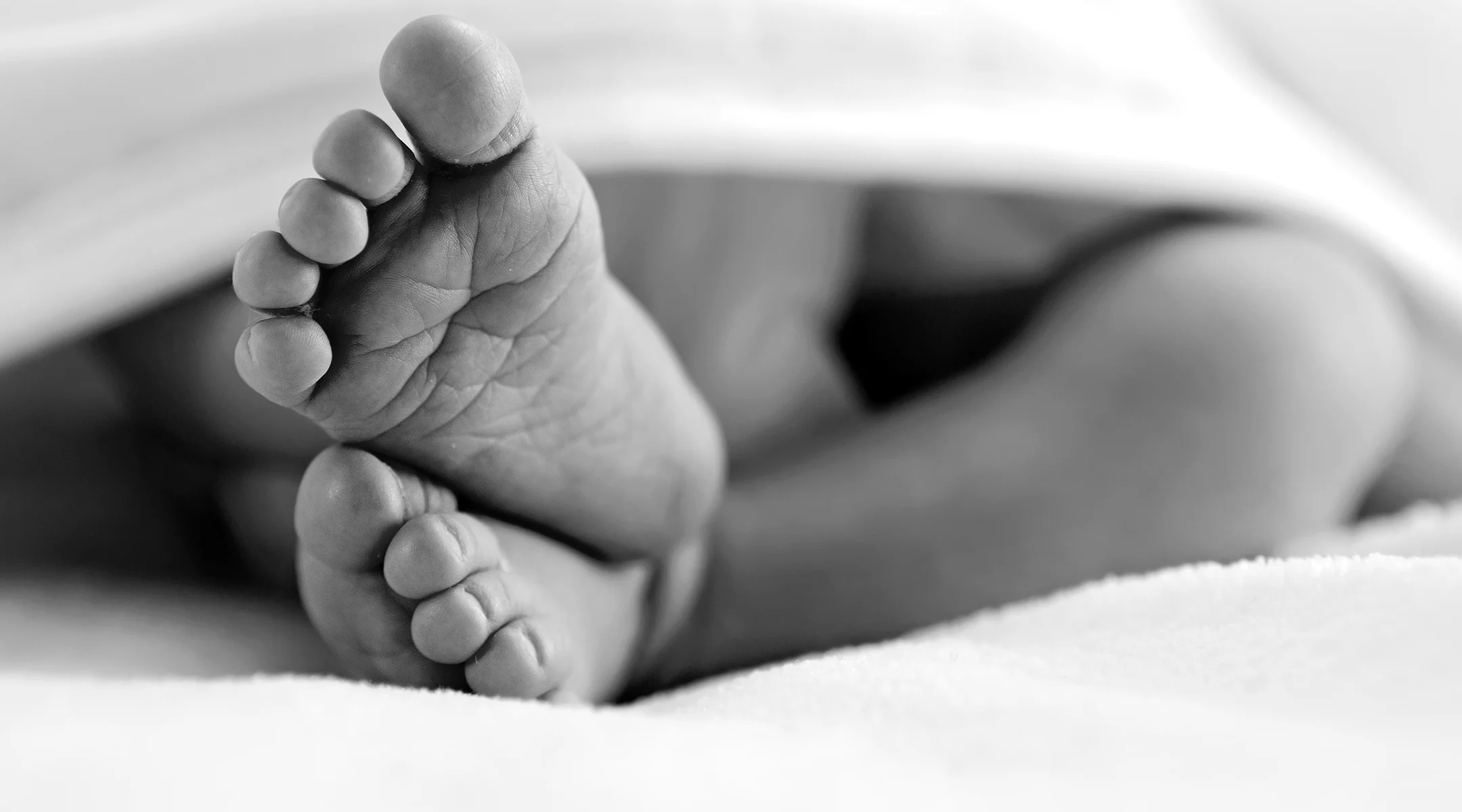 Breaking the 'Surrogate Code'