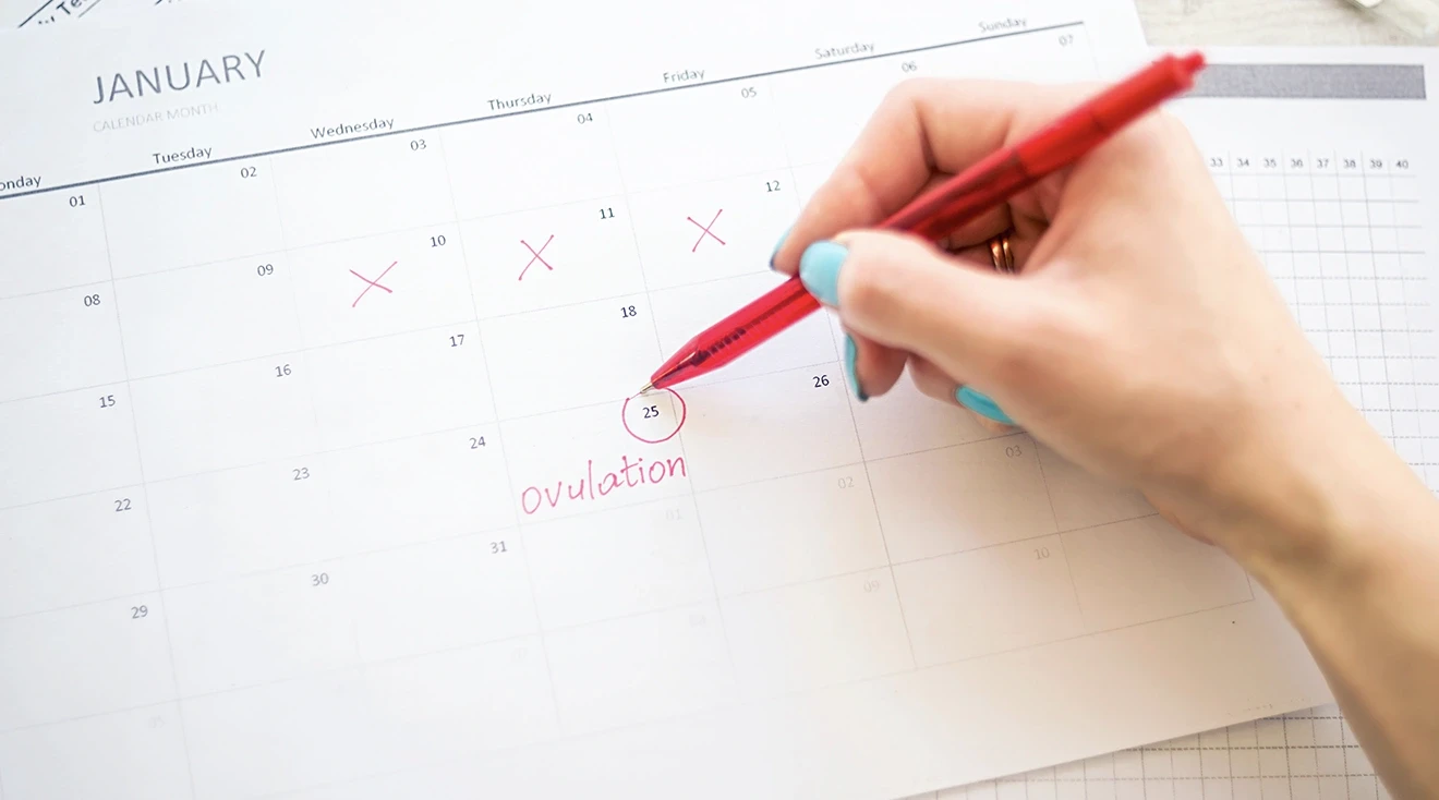 woman tracking her menstrual cycle on calendar