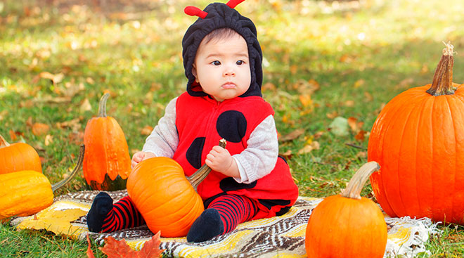 baby dressed in ladybug halloween costume sitting and surrounded by pumpkins