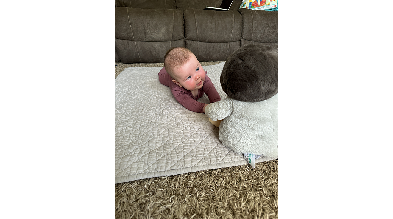 8 Best Toys for 3-Month-Old Babies, Tested and Reviewed