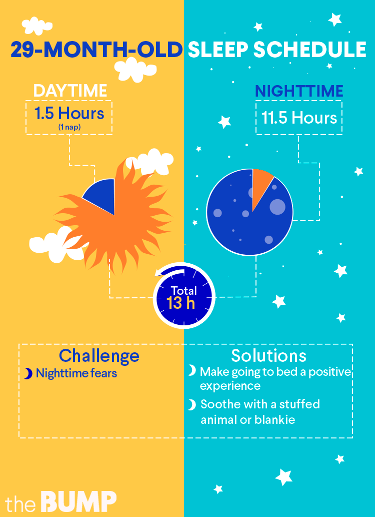 Cognitive Development Milestones Chart