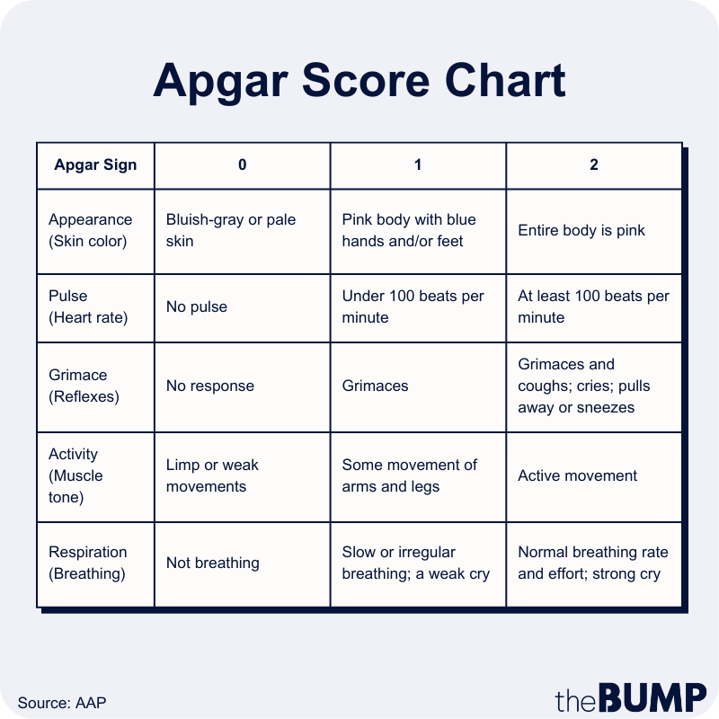 Apgar Scale