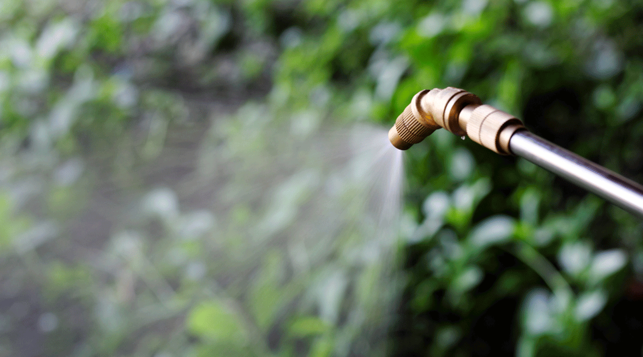 close up of weedkiller being sprayed