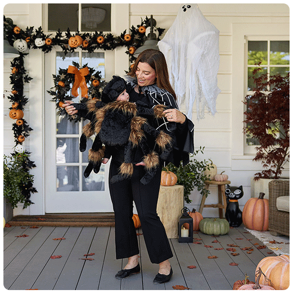 Pottery Barn Kids Fuzzy Spider Baby Carrier Costume Accessory