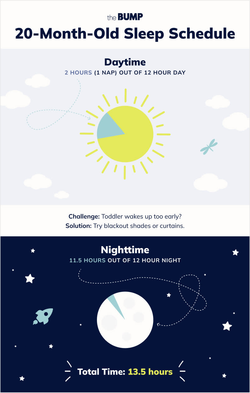 29-Month-Old Development Milestones: Toddler Month by Month