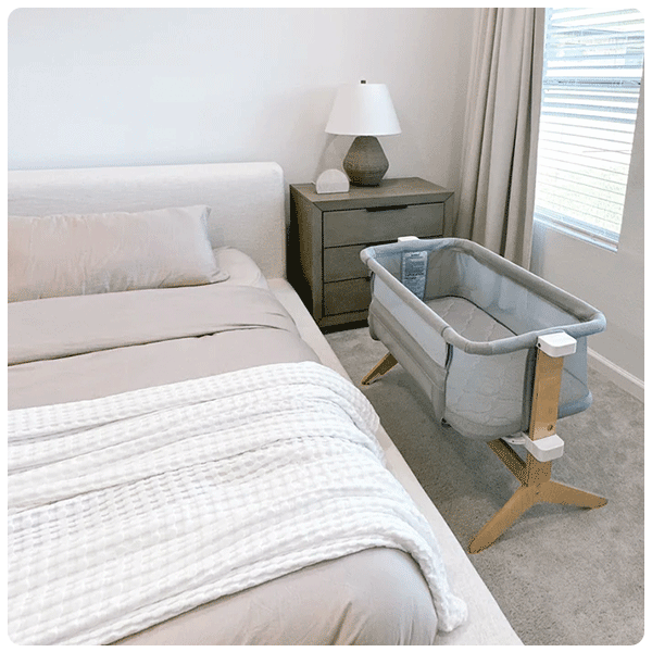 Newton Bassinet & Bedside Sleeper