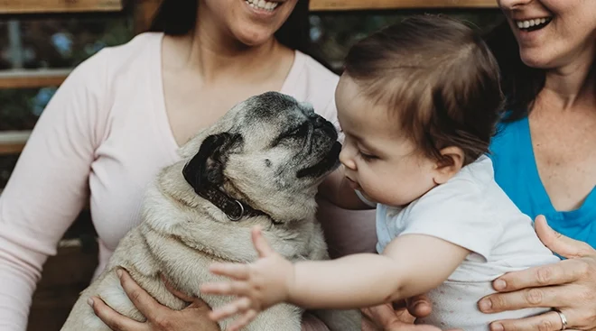 baby with two smiling moms reaching for pet dog