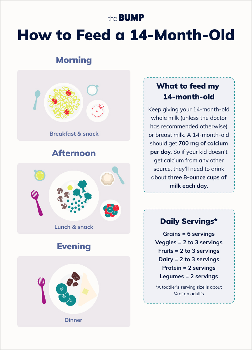 14 Month Old Development Milestones Toddler Month by Month