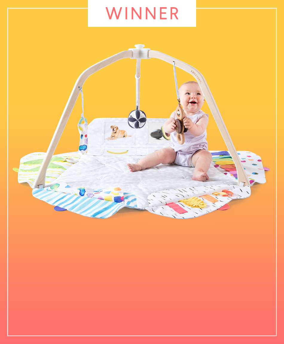 love every baby play gym