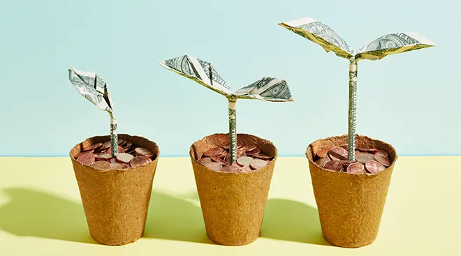 Concept image of money formed into flowering plants.