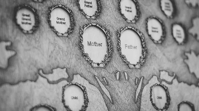black and white image of a family ancestry tree